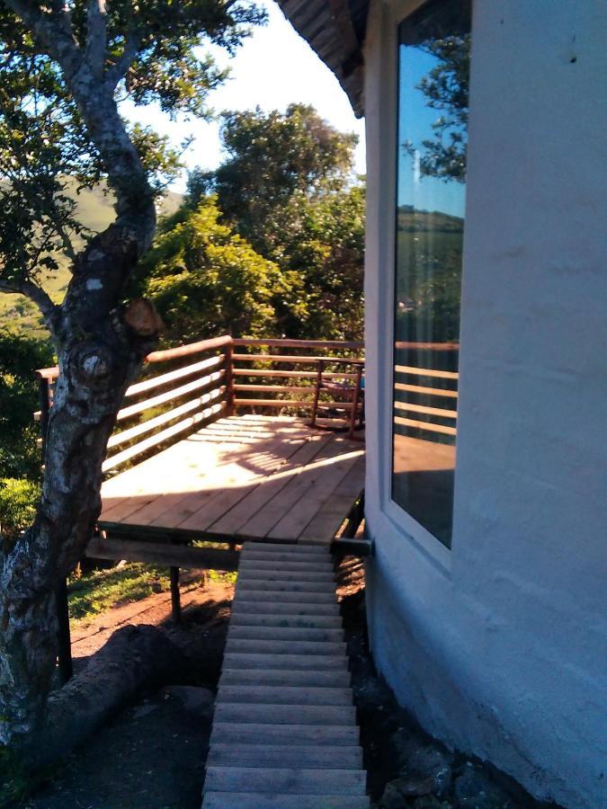 Wildview Self Catering Cottages Coffee Bay, Breakfast & Wi-Fi Inc Exteriér fotografie