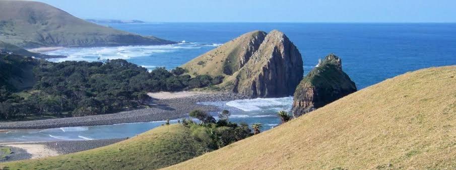 Wildview Self Catering Cottages Coffee Bay, Breakfast & Wi-Fi Inc Exteriér fotografie