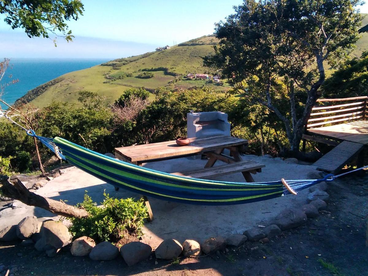Wildview Self Catering Cottages Coffee Bay, Breakfast & Wi-Fi Inc Exteriér fotografie