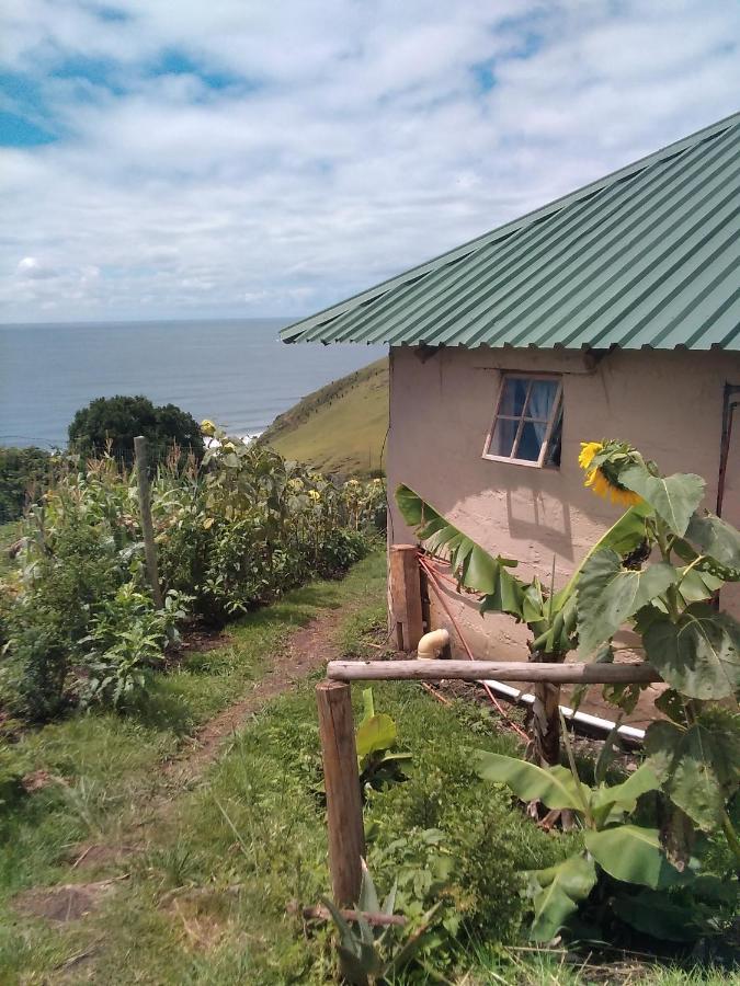 Wildview Self Catering Cottages Coffee Bay, Breakfast & Wi-Fi Inc Exteriér fotografie